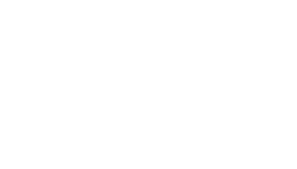 Steeze Detailing LLC